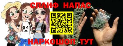 ПСИЛОЦИБИНОВЫЕ ГРИБЫ Новозыбков