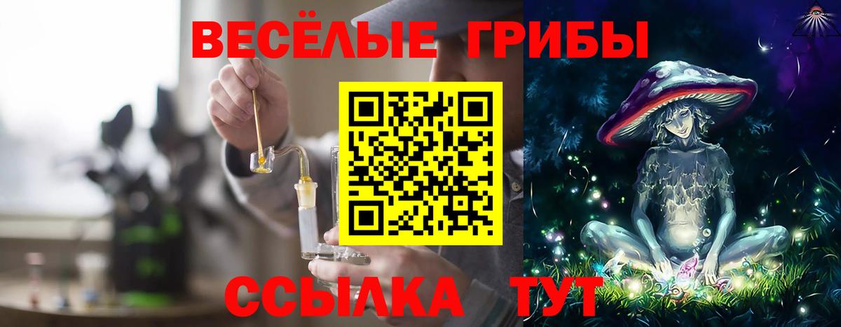 Галлюциногенные грибы Cubensis Ульяновск